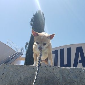 Meet your Posher, Delbert